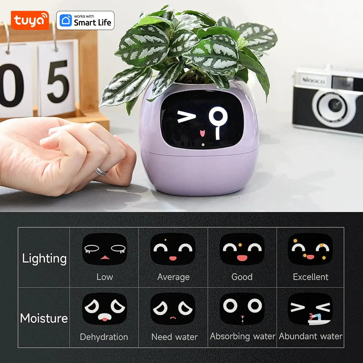 Tuya Gen1 Ivy Smart Planter,Endless Fun Over 49 Rich Expressions,7 smart sensors,AI Chips Make Raising Plants Easy and Fun