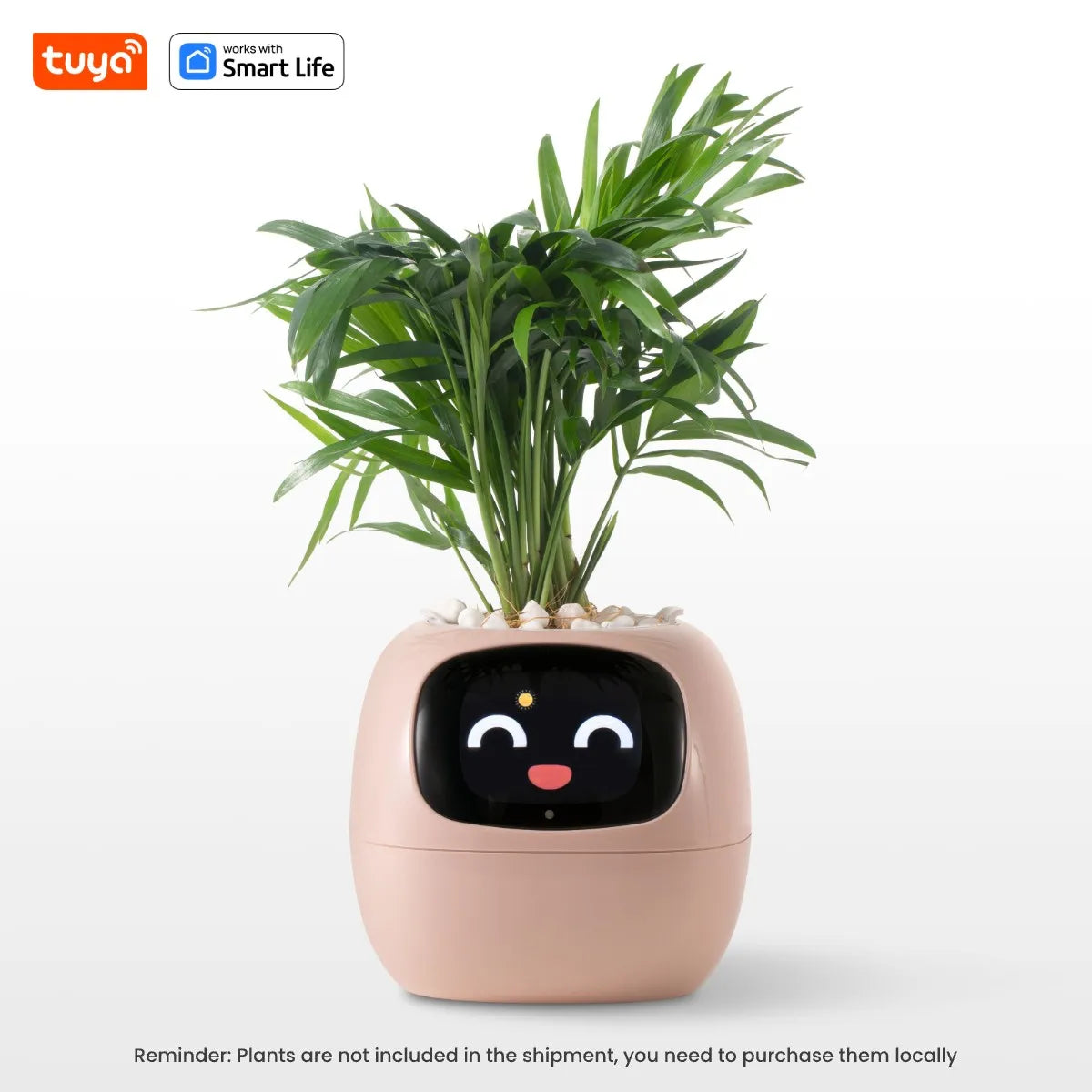 Tuya Gen1 Ivy Smart Planter,Endless Fun Over 49 Rich Expressions,7 smart sensors,AI Chips Make Raising Plants Easy and Fun