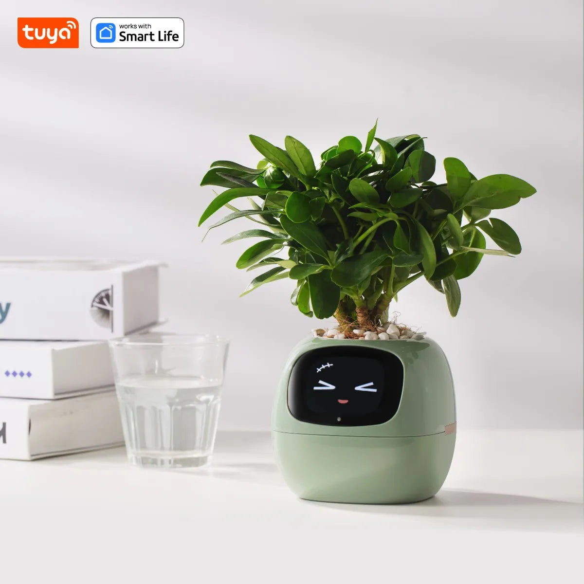 Tuya Gen1 Ivy Smart Planter,Endless Fun Over 49 Rich Expressions,7 smart sensors,AI Chips Make Raising Plants Easy and Fun