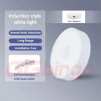 Type-C Rechargeable Motion Sensor LED Night Light for Kitchen Bedroom Stairs Hallway Cabinet Closet Wardrobe - Energy Efficient