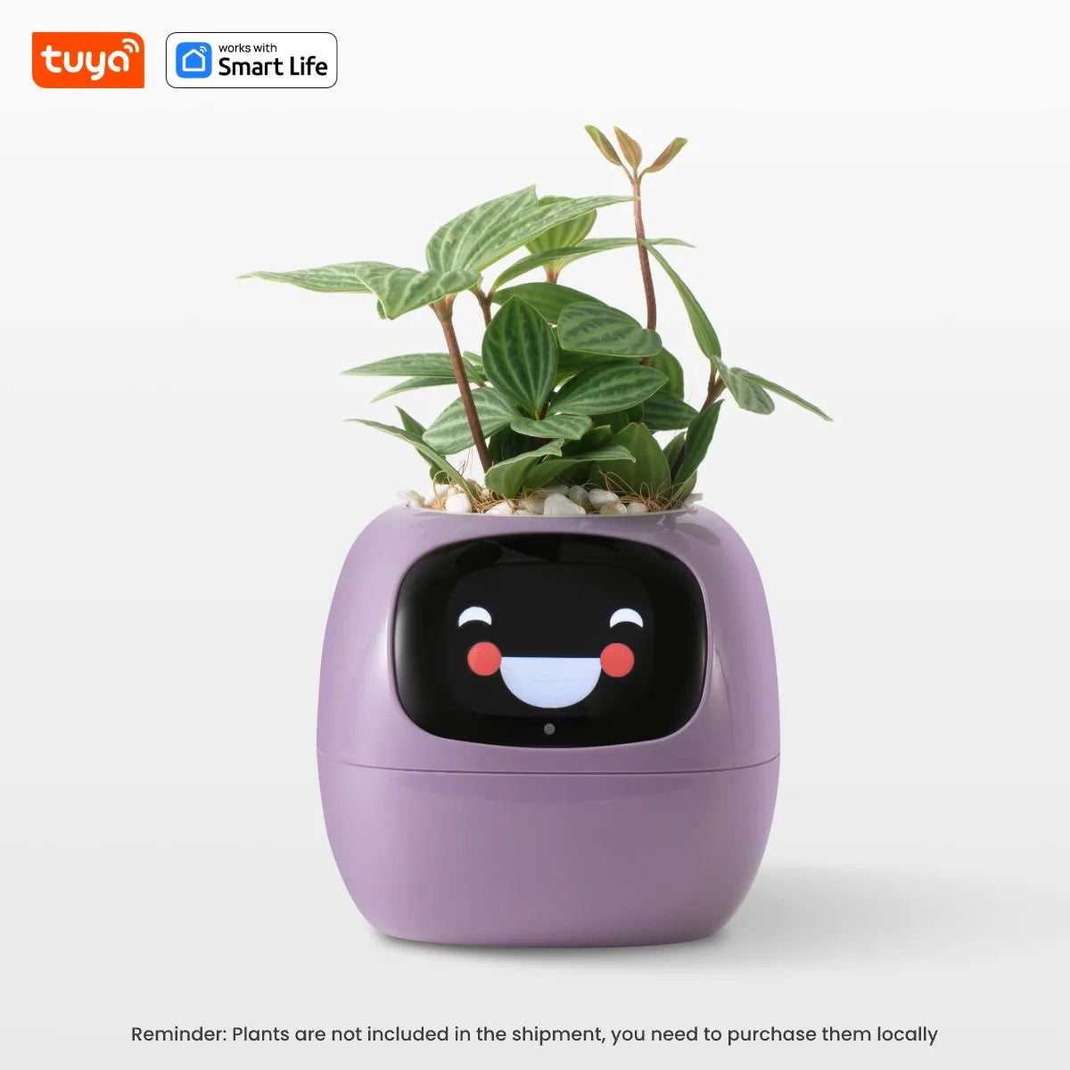 Tuya Gen1 Ivy Smart Planter,Endless Fun Over 49 Rich Expressions,7 smart sensors,AI Chips Make Raising Plants Easy and Fun